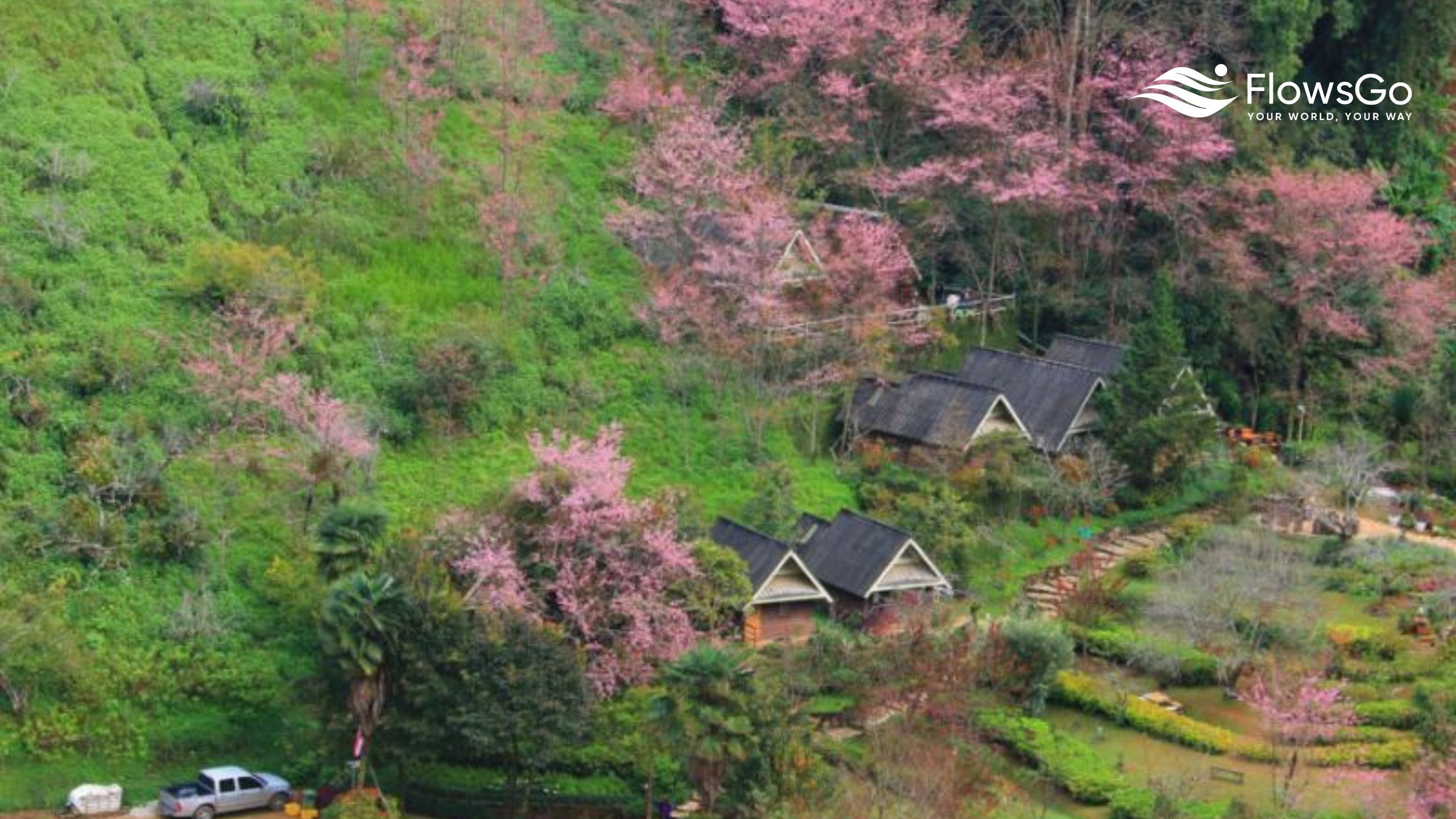 baan-luang-resort-mua-hoa-anh-dao.jpg