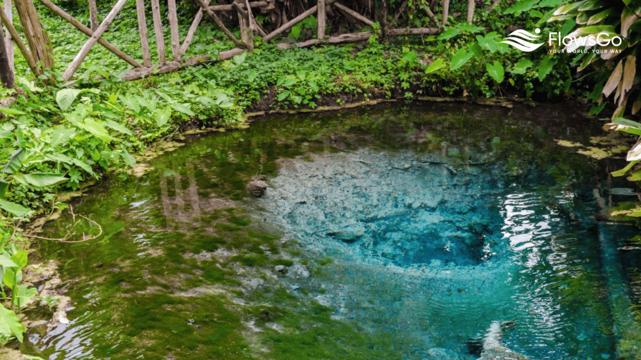 bua-thong-waterfall.png