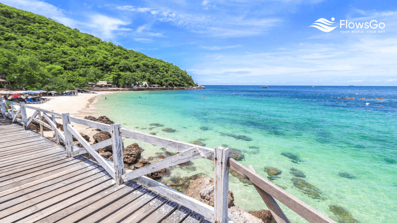 dao-coral-pattaya.png