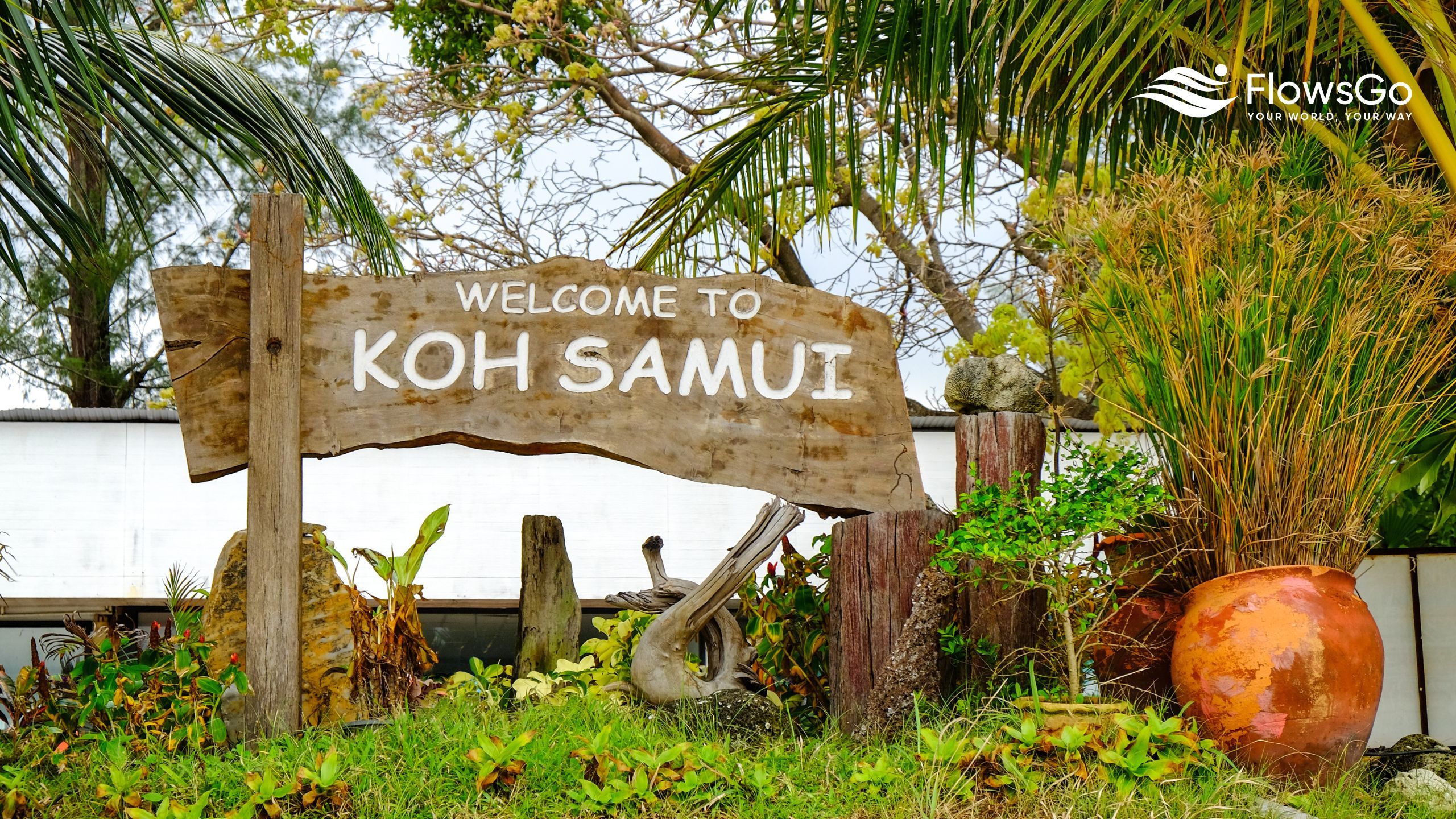 dao-koh-samui.jpg