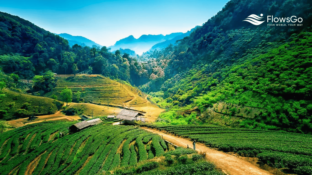 gia-tour-di-thai-lan-bangkok-ayutthaya-chiangmai.png