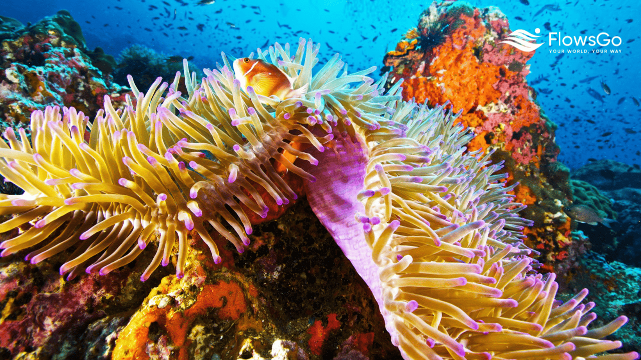lan-ngam-san-ho-koh-phangan.png