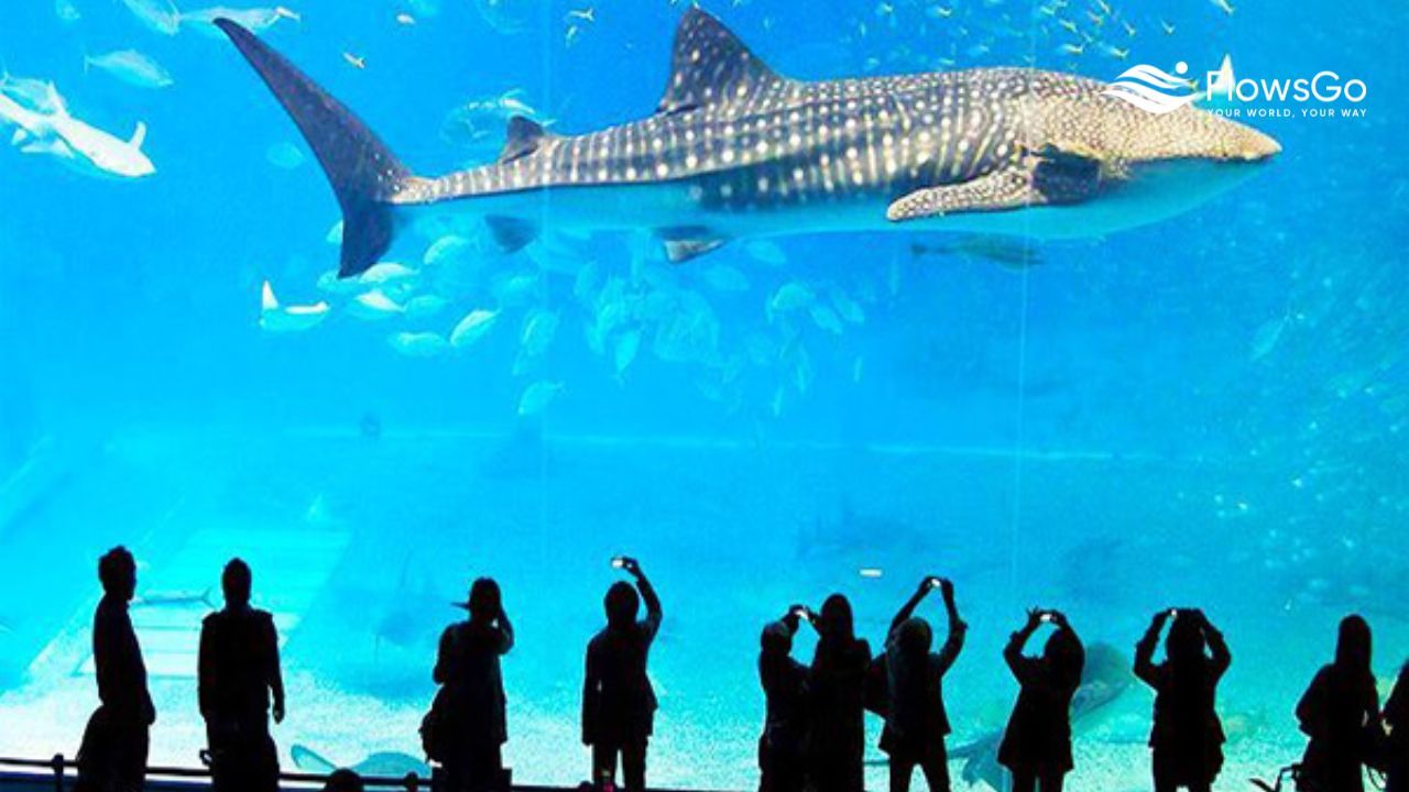 sea-life-bangkok-ocean-world.jpg