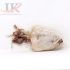 LK Frz Dried Squid  Kho Muc (1 Nang) 10kg
