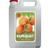 RS Kumquat Syrup Syrup Kumquat 5kg