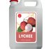 RS Lychee Syrup Syrup Vai 5kg