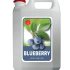 RS Blueberry Syrup Syrup Viet Quat 5kg