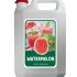 RS Watermelon Syrup Syrup Dua Hau 5kg
